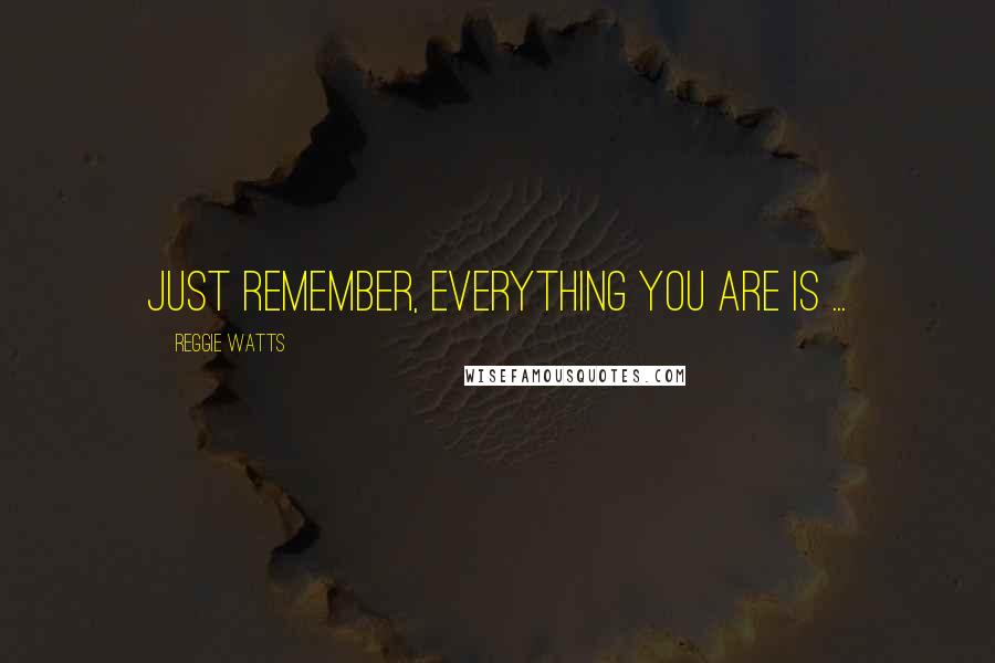 Reggie Watts Quotes: Just remember, everything you are is ...