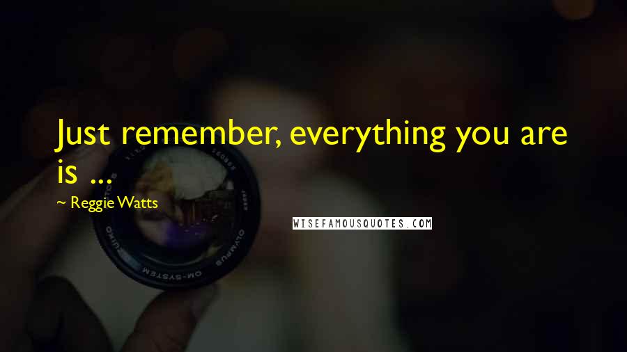 Reggie Watts Quotes: Just remember, everything you are is ...