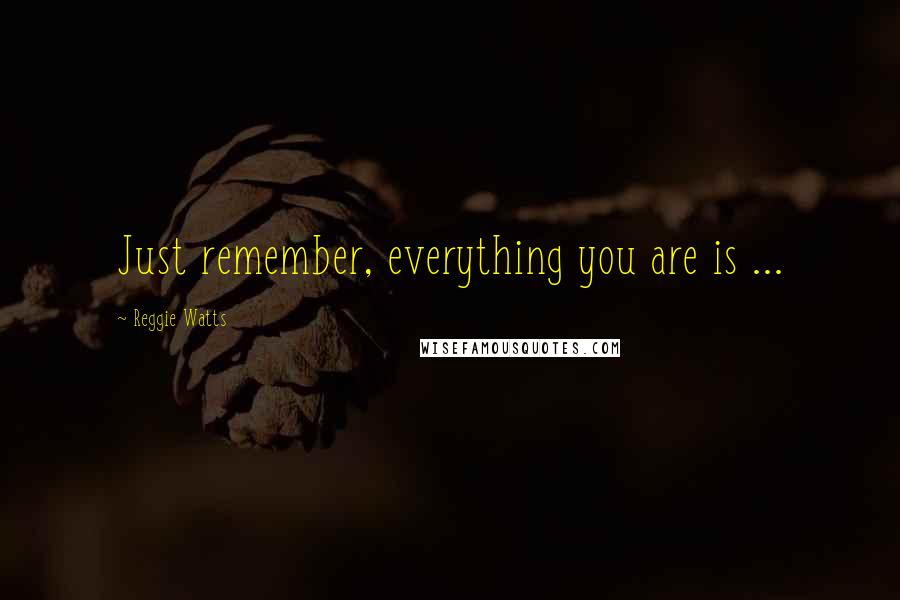Reggie Watts Quotes: Just remember, everything you are is ...