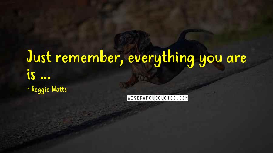 Reggie Watts Quotes: Just remember, everything you are is ...
