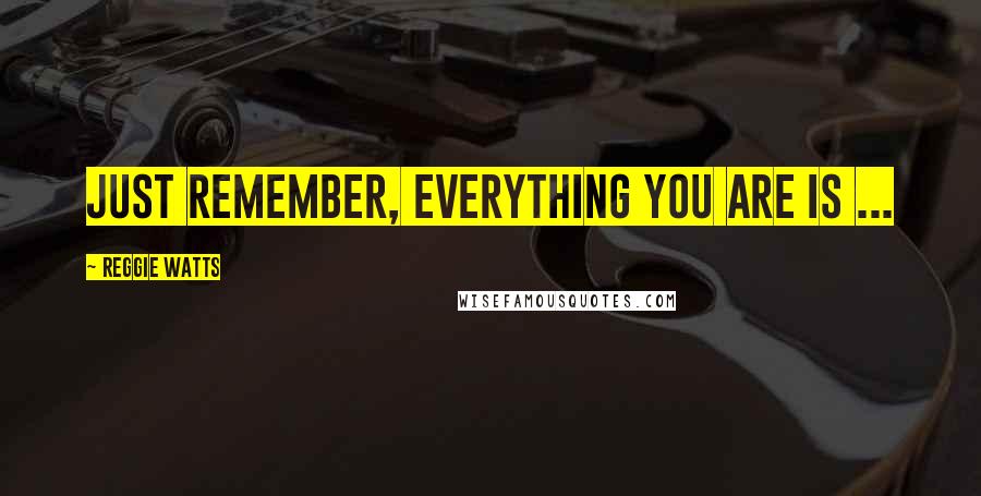 Reggie Watts Quotes: Just remember, everything you are is ...