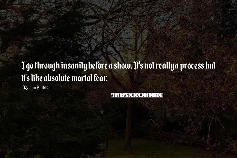 Regina Spektor Quotes: I go through insanity before a show. It's not really a process but it's like absolute mortal fear.