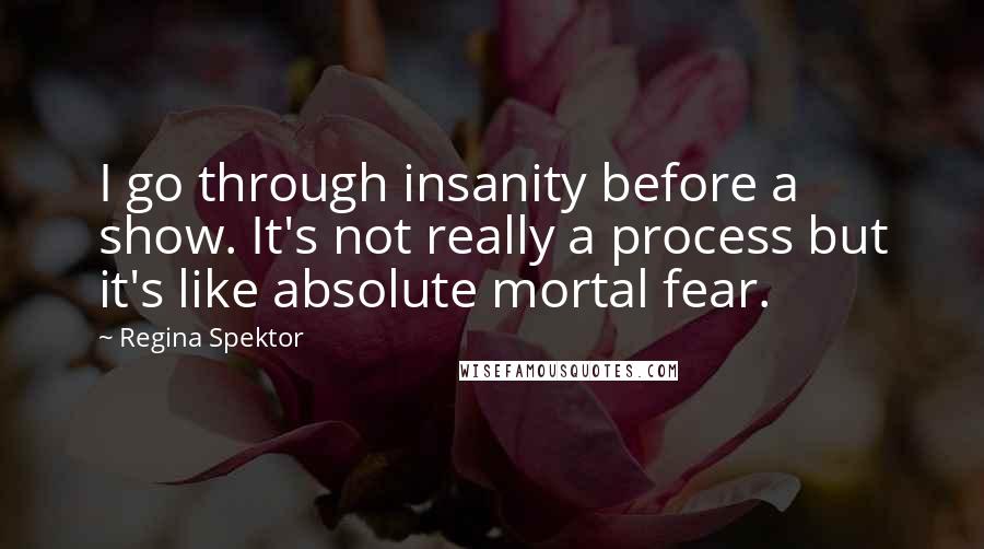 Regina Spektor Quotes: I go through insanity before a show. It's not really a process but it's like absolute mortal fear.