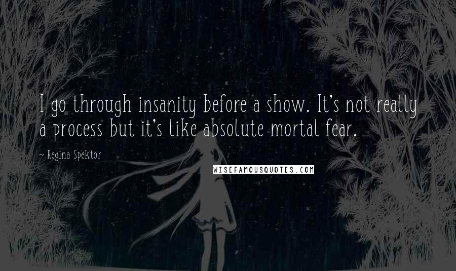 Regina Spektor Quotes: I go through insanity before a show. It's not really a process but it's like absolute mortal fear.