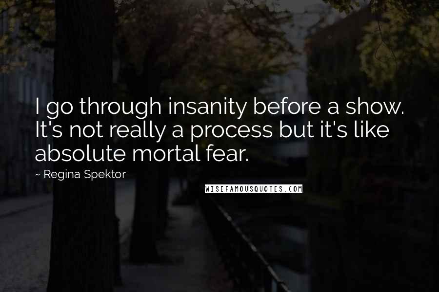 Regina Spektor Quotes: I go through insanity before a show. It's not really a process but it's like absolute mortal fear.