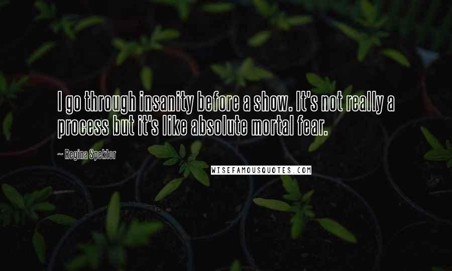 Regina Spektor Quotes: I go through insanity before a show. It's not really a process but it's like absolute mortal fear.