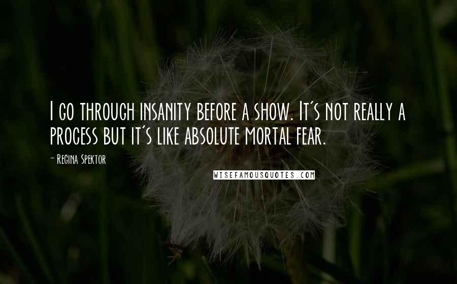 Regina Spektor Quotes: I go through insanity before a show. It's not really a process but it's like absolute mortal fear.