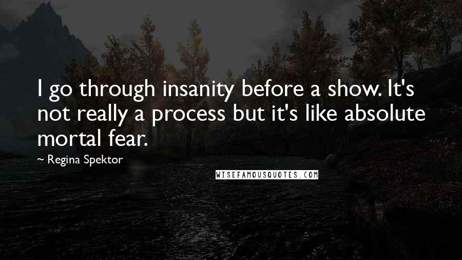 Regina Spektor Quotes: I go through insanity before a show. It's not really a process but it's like absolute mortal fear.