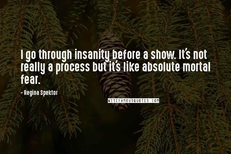 Regina Spektor Quotes: I go through insanity before a show. It's not really a process but it's like absolute mortal fear.