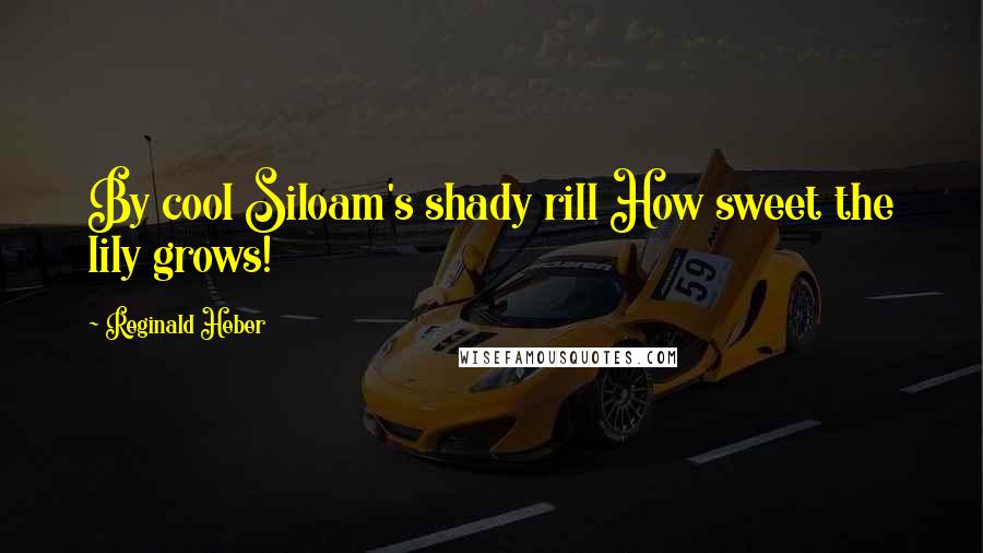 Reginald Heber Quotes: By cool Siloam's shady rill How sweet the lily grows!