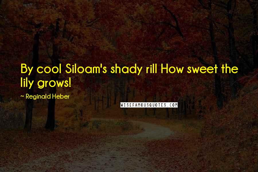 Reginald Heber Quotes: By cool Siloam's shady rill How sweet the lily grows!