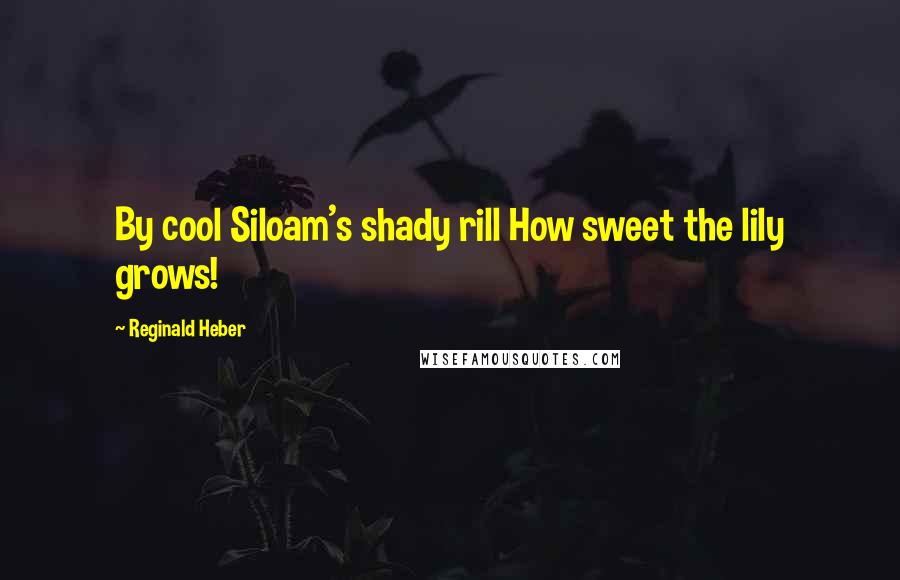 Reginald Heber Quotes: By cool Siloam's shady rill How sweet the lily grows!