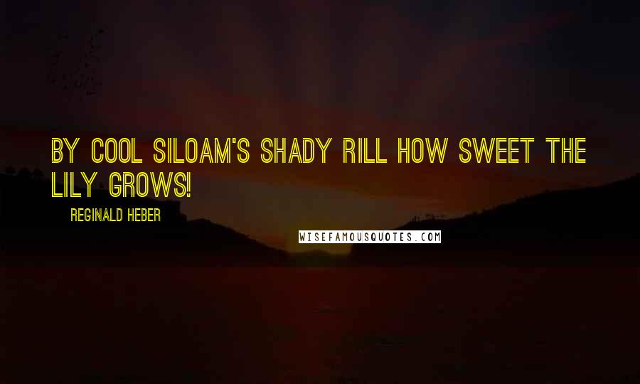 Reginald Heber Quotes: By cool Siloam's shady rill How sweet the lily grows!