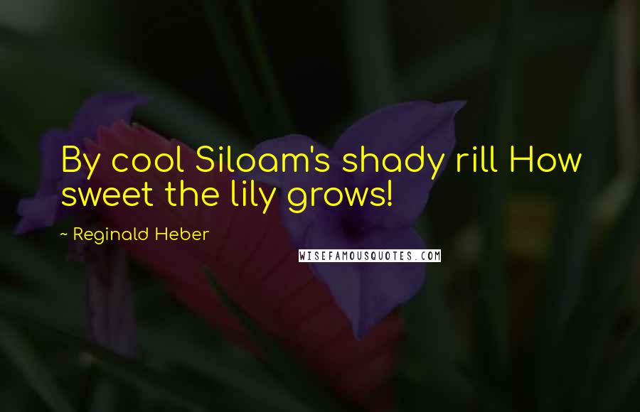 Reginald Heber Quotes: By cool Siloam's shady rill How sweet the lily grows!