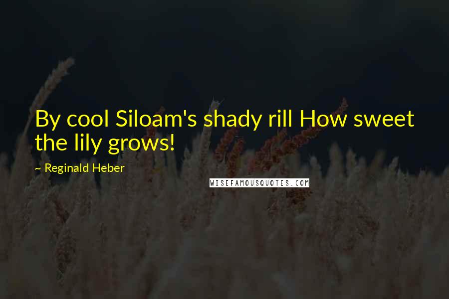 Reginald Heber Quotes: By cool Siloam's shady rill How sweet the lily grows!