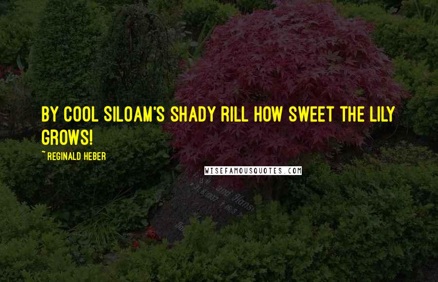 Reginald Heber Quotes: By cool Siloam's shady rill How sweet the lily grows!