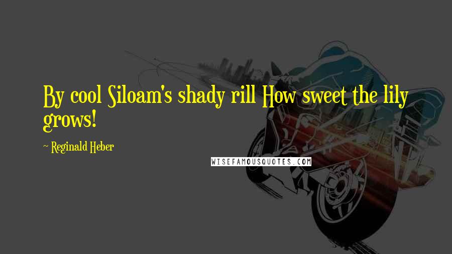 Reginald Heber Quotes: By cool Siloam's shady rill How sweet the lily grows!