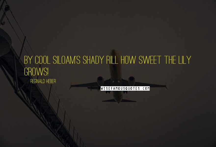 Reginald Heber Quotes: By cool Siloam's shady rill How sweet the lily grows!