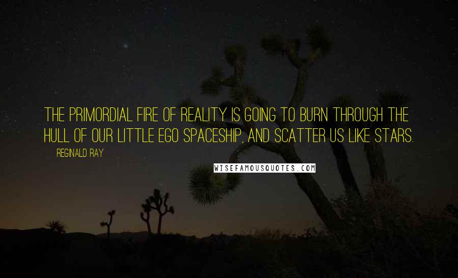 Reginald Ray Quotes: The primordial fire of reality is going to burn through the hull of our little ego spaceship, and scatter us like stars.