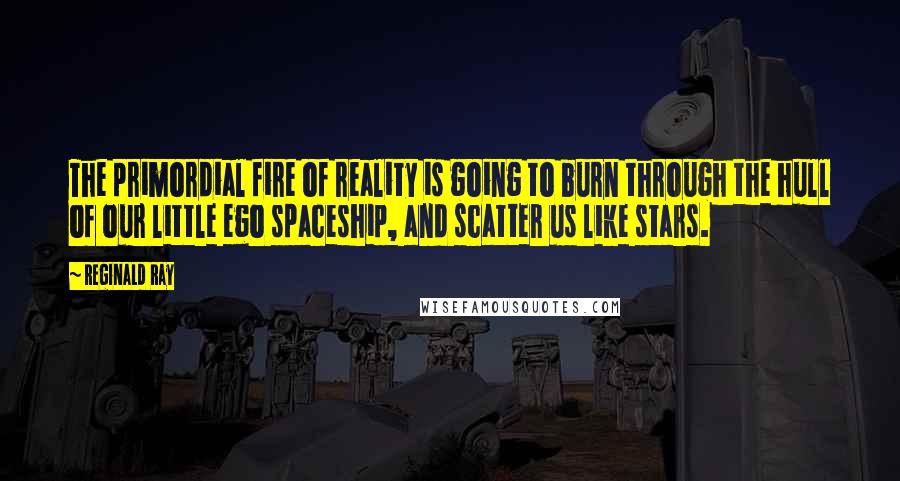 Reginald Ray Quotes: The primordial fire of reality is going to burn through the hull of our little ego spaceship, and scatter us like stars.