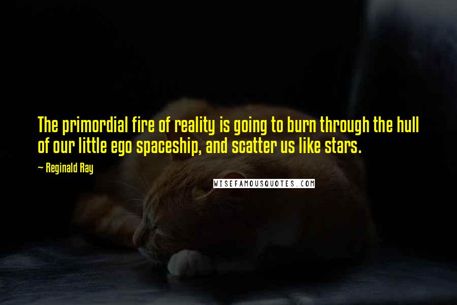 Reginald Ray Quotes: The primordial fire of reality is going to burn through the hull of our little ego spaceship, and scatter us like stars.