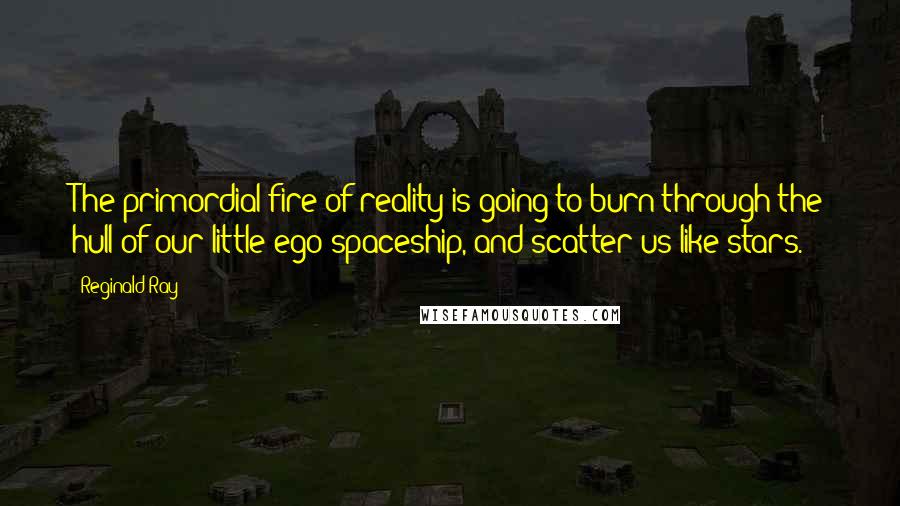 Reginald Ray Quotes: The primordial fire of reality is going to burn through the hull of our little ego spaceship, and scatter us like stars.