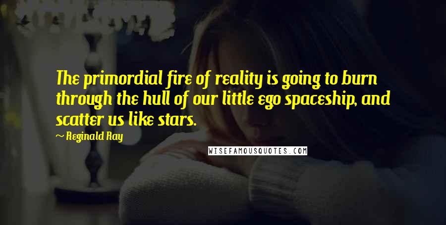 Reginald Ray Quotes: The primordial fire of reality is going to burn through the hull of our little ego spaceship, and scatter us like stars.