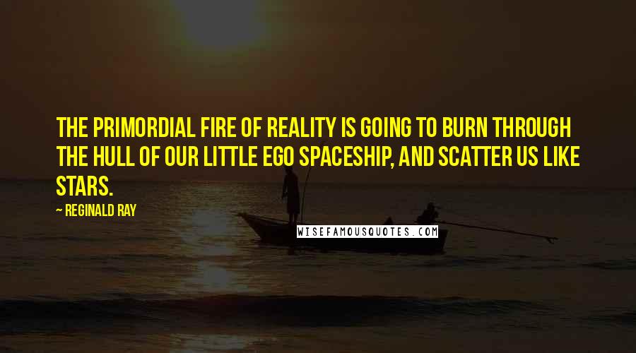 Reginald Ray Quotes: The primordial fire of reality is going to burn through the hull of our little ego spaceship, and scatter us like stars.