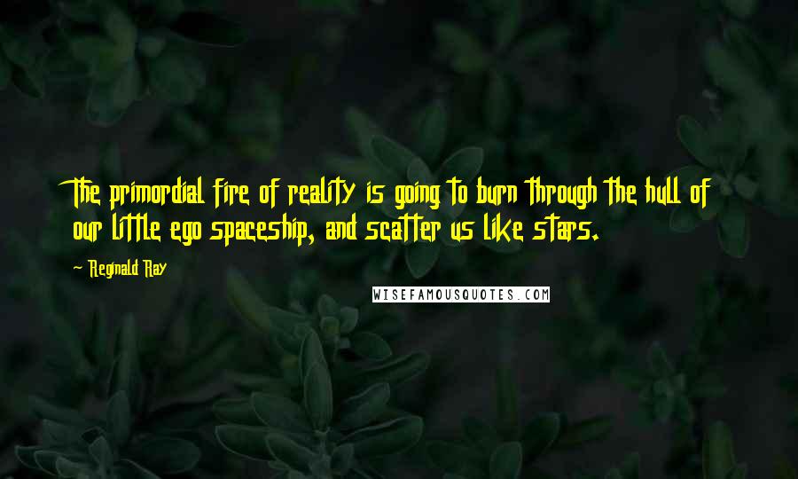 Reginald Ray Quotes: The primordial fire of reality is going to burn through the hull of our little ego spaceship, and scatter us like stars.