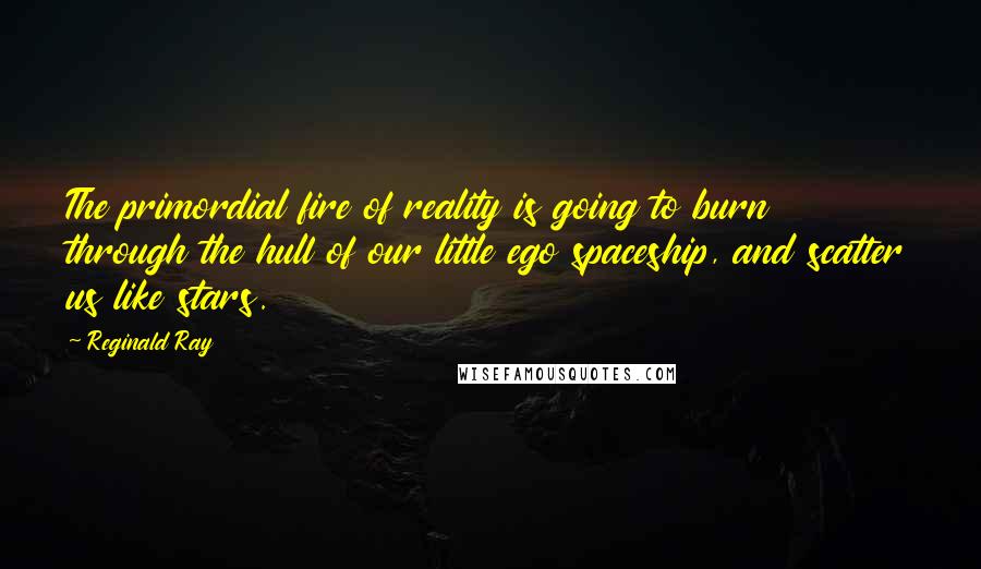 Reginald Ray Quotes: The primordial fire of reality is going to burn through the hull of our little ego spaceship, and scatter us like stars.