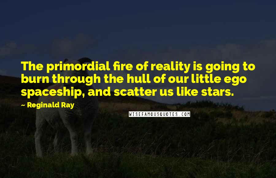 Reginald Ray Quotes: The primordial fire of reality is going to burn through the hull of our little ego spaceship, and scatter us like stars.