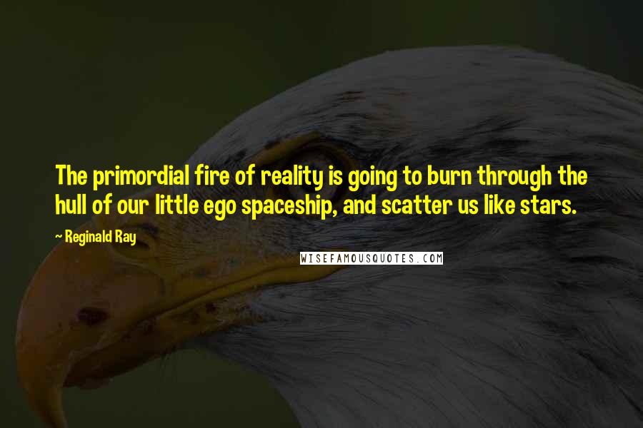 Reginald Ray Quotes: The primordial fire of reality is going to burn through the hull of our little ego spaceship, and scatter us like stars.