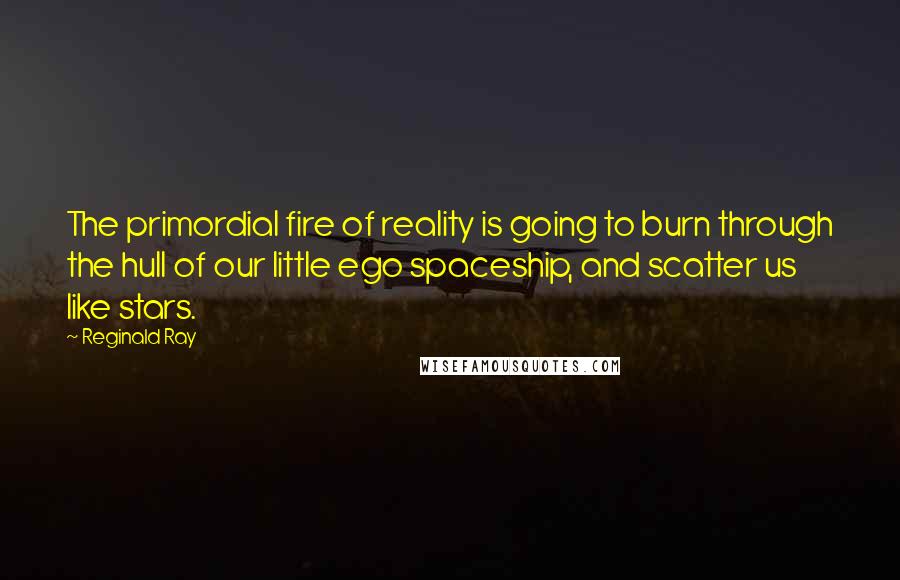 Reginald Ray Quotes: The primordial fire of reality is going to burn through the hull of our little ego spaceship, and scatter us like stars.