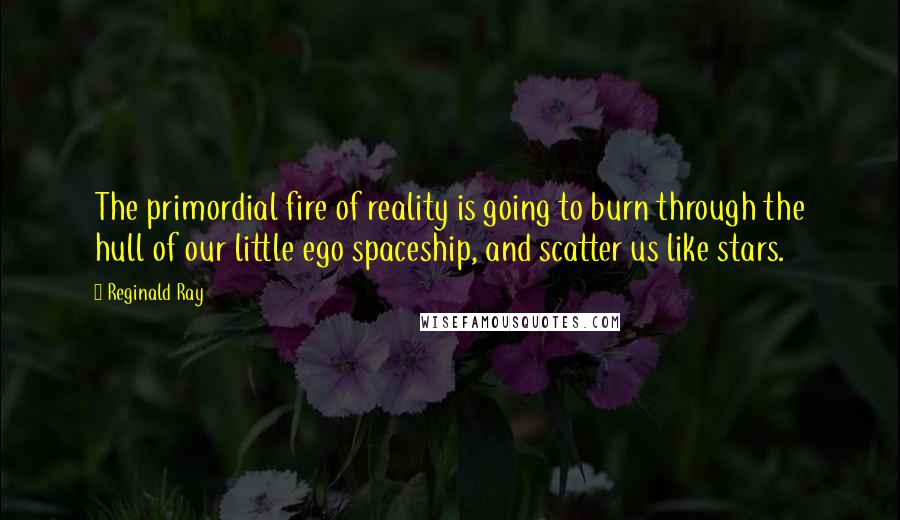 Reginald Ray Quotes: The primordial fire of reality is going to burn through the hull of our little ego spaceship, and scatter us like stars.