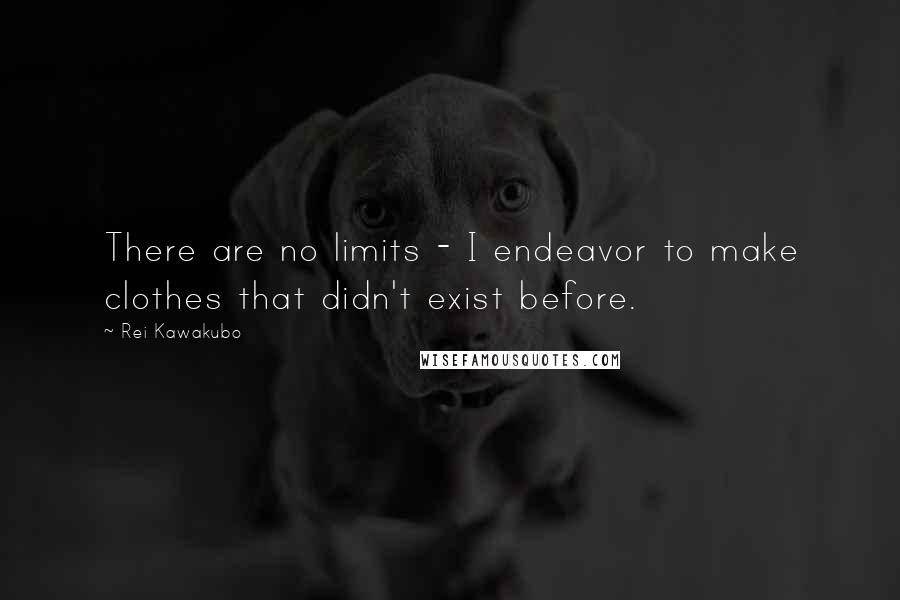 Rei Kawakubo Quotes: There are no limits - I endeavor to make clothes that didn't exist before.