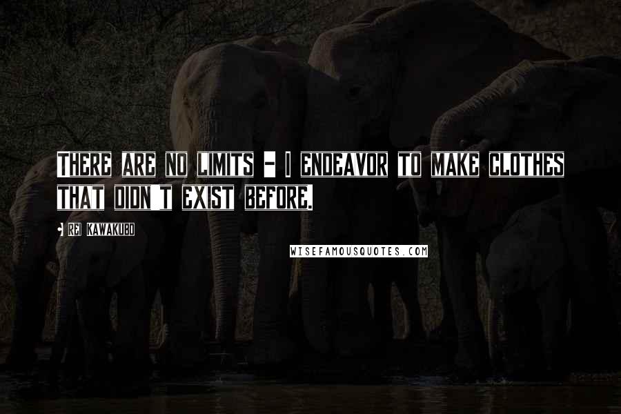 Rei Kawakubo Quotes: There are no limits - I endeavor to make clothes that didn't exist before.