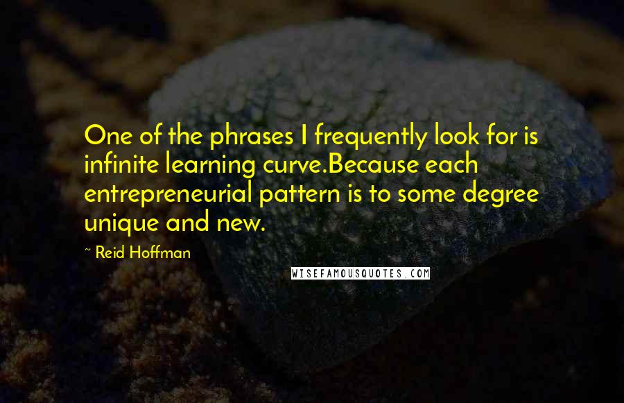 Reid Hoffman Quotes: One of the phrases I frequently look for is infinite learning curve.Because each entrepreneurial pattern is to some degree unique and new.