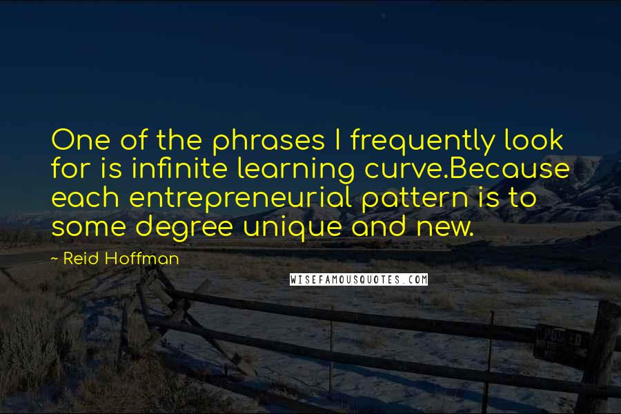 Reid Hoffman Quotes: One of the phrases I frequently look for is infinite learning curve.Because each entrepreneurial pattern is to some degree unique and new.