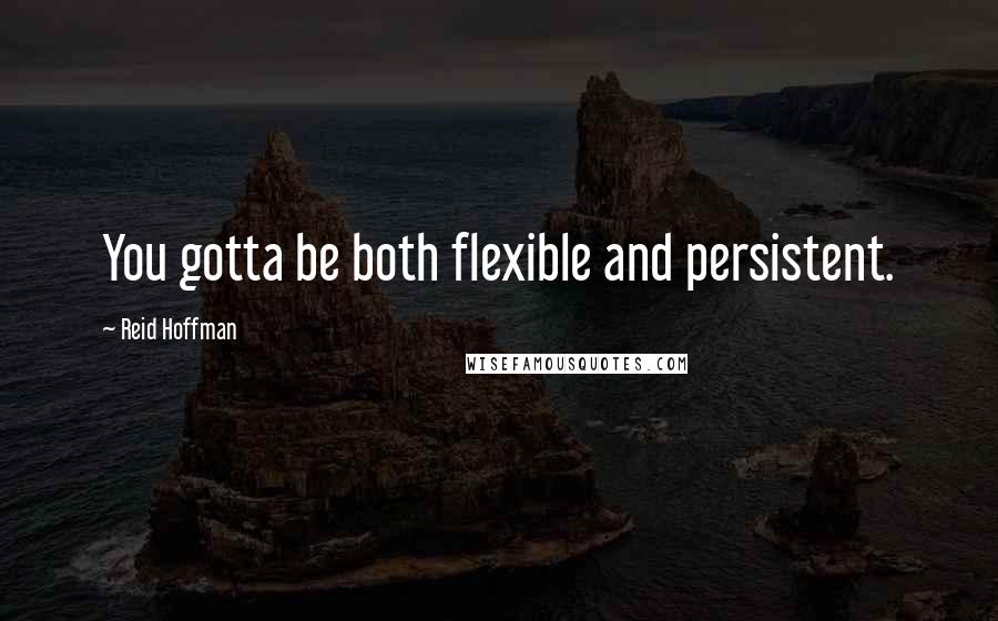 Reid Hoffman Quotes: You gotta be both flexible and persistent.