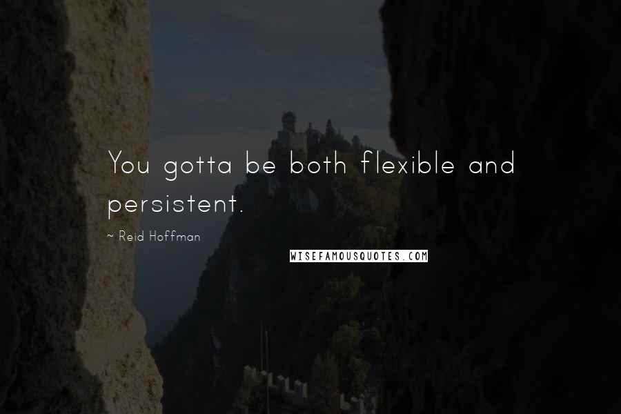 Reid Hoffman Quotes: You gotta be both flexible and persistent.