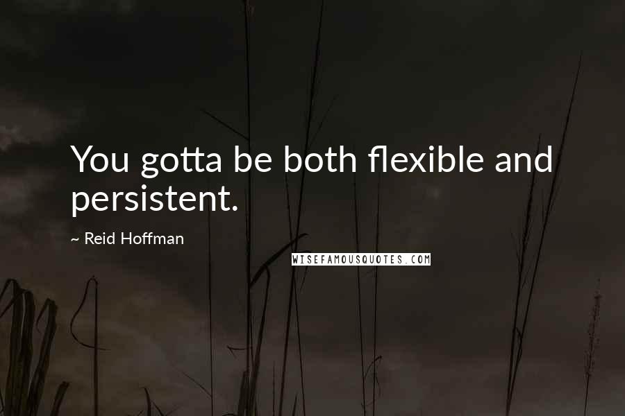 Reid Hoffman Quotes: You gotta be both flexible and persistent.