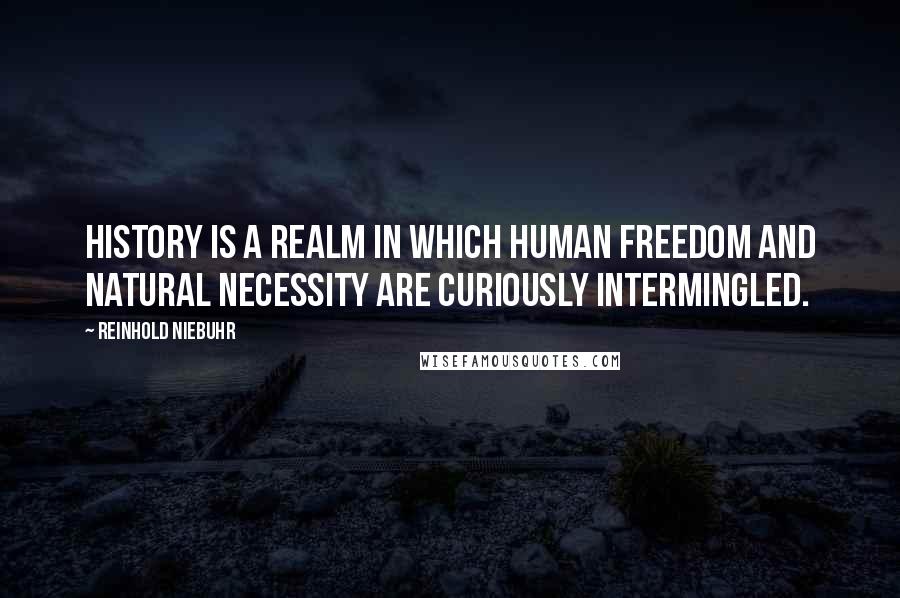 Reinhold Niebuhr Quotes: History is a realm in which human freedom and natural necessity are curiously intermingled.