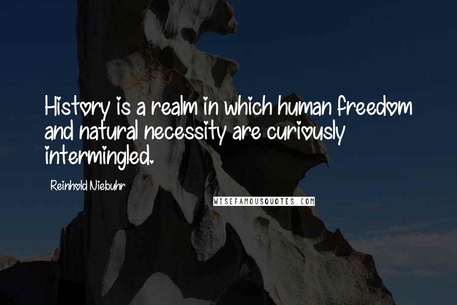 Reinhold Niebuhr Quotes: History is a realm in which human freedom and natural necessity are curiously intermingled.