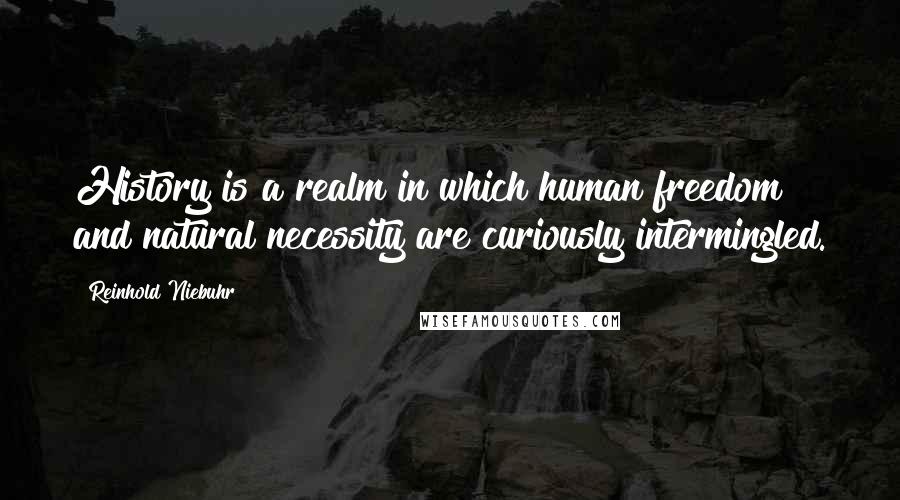 Reinhold Niebuhr Quotes: History is a realm in which human freedom and natural necessity are curiously intermingled.