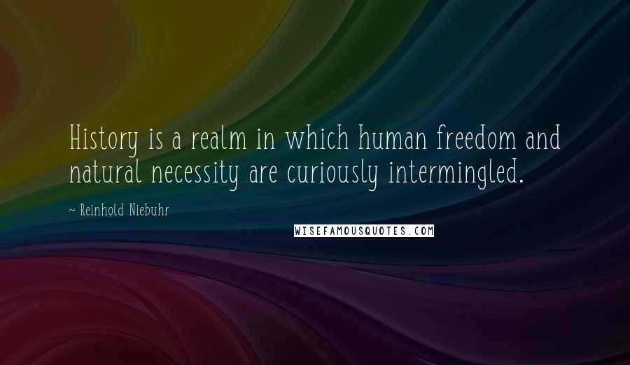 Reinhold Niebuhr Quotes: History is a realm in which human freedom and natural necessity are curiously intermingled.