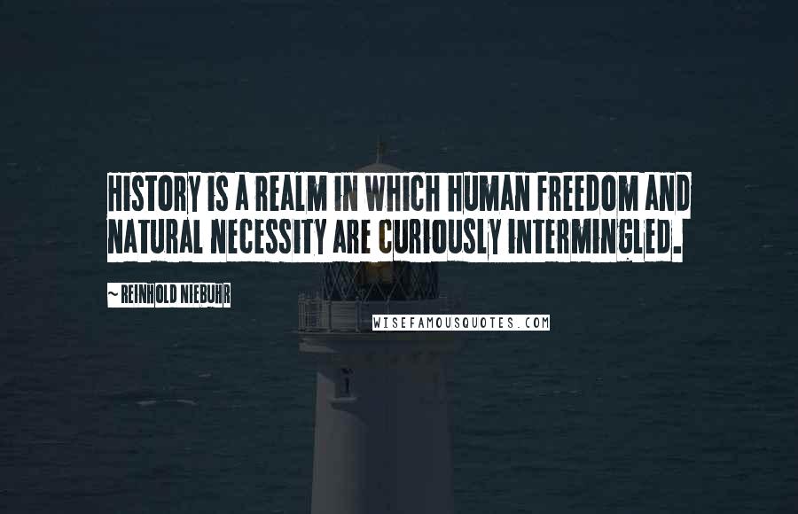 Reinhold Niebuhr Quotes: History is a realm in which human freedom and natural necessity are curiously intermingled.