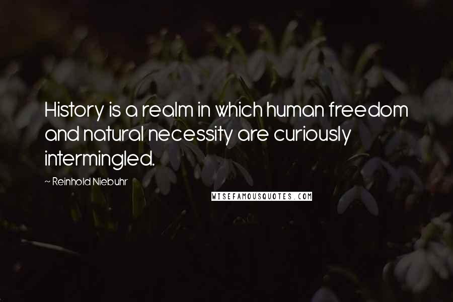 Reinhold Niebuhr Quotes: History is a realm in which human freedom and natural necessity are curiously intermingled.