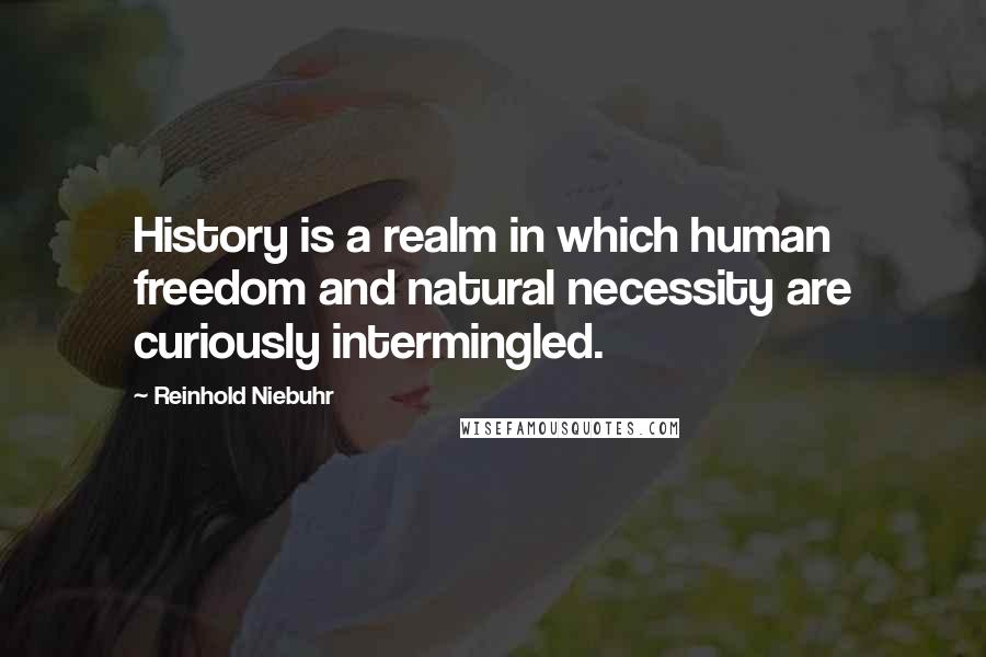 Reinhold Niebuhr Quotes: History is a realm in which human freedom and natural necessity are curiously intermingled.