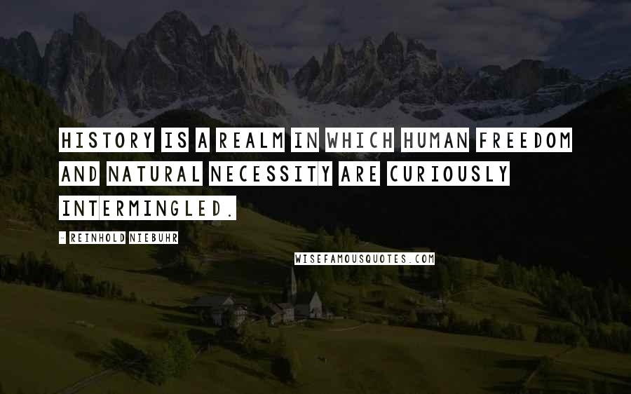 Reinhold Niebuhr Quotes: History is a realm in which human freedom and natural necessity are curiously intermingled.