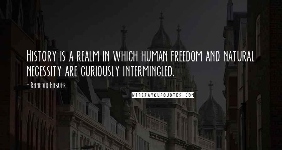 Reinhold Niebuhr Quotes: History is a realm in which human freedom and natural necessity are curiously intermingled.